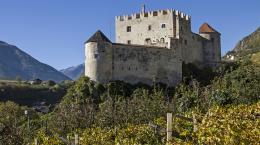  Il vino in Trentino-Alto Adige, tra innovazione e eccellenza