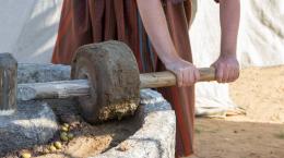 La produzione di olio in Italia dal Rinascimento all'età contemporanea