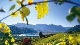 L'accoglienza in Alto Adige per gli amanti del vino