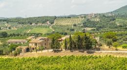 Ricasoli di Siena: la scuola dove rivivono gli antichi vitigni toscani