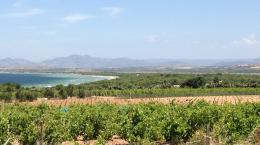 Viaggio in Sardegna, tra vino e Nuraghi