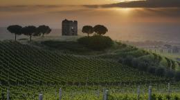 Il vino nel Lazio: la viticoltura tra mare e vulcani