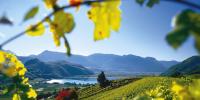 Accoglienza in Alto Adige