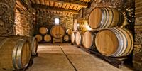 Botti contenenti Torcolato di Breganze