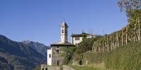 Il Turismo enogastronomico in Lombardia Il vino in Lombardia