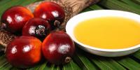 l'olio di palma fa male?