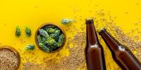 Quanta birra bere al giorno