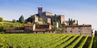 Castello di Soave con vigneti