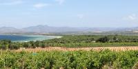 Sardegna fra vigneti, mare e Nuraghi