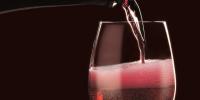 Un viaggio tra i vini dell'Emilia Romagna Lambrusco DOC Emilia-Romagna