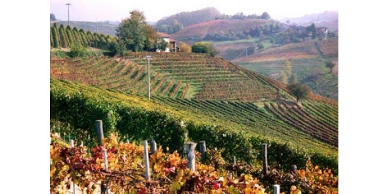 Cascina Carrà