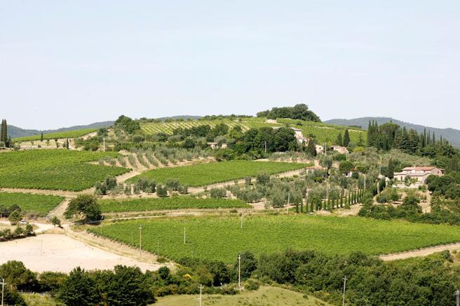 ‎Baricci