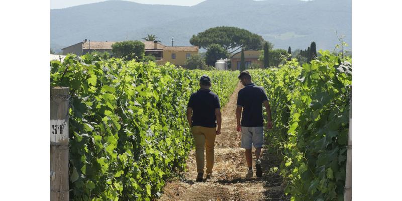 Terre-del-Marchesato