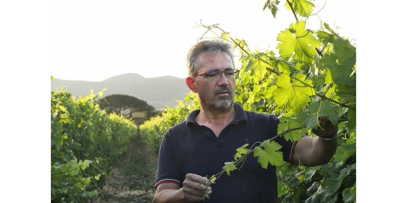Terre-del-Marchesato