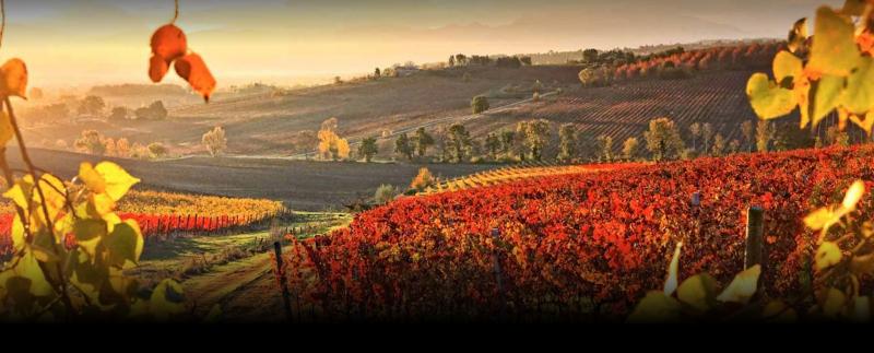 Agricola Castelgrosso