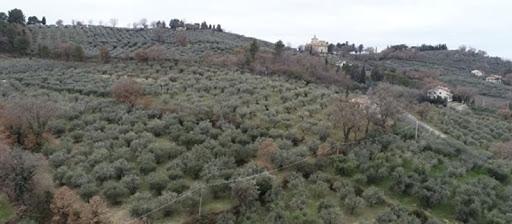 Agricola Colle del Magghio