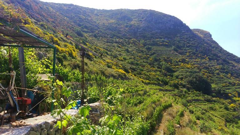 Antiche Cantine Migliaccio