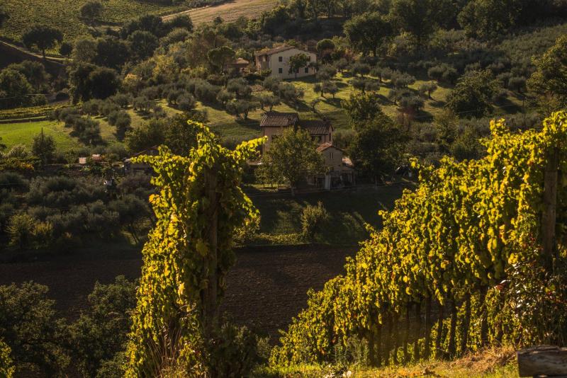 Azienda Agraria Brunozzi