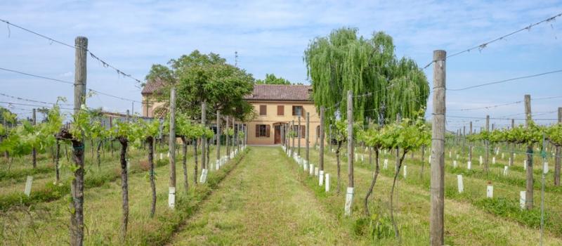 Azienda Agricola Pacchioni