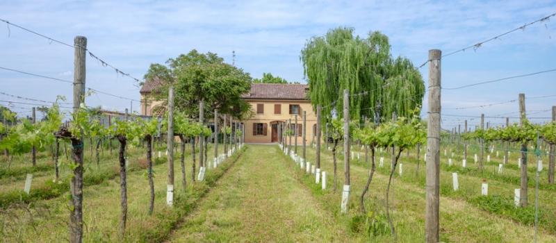 Azienda Agricola Pacchioni