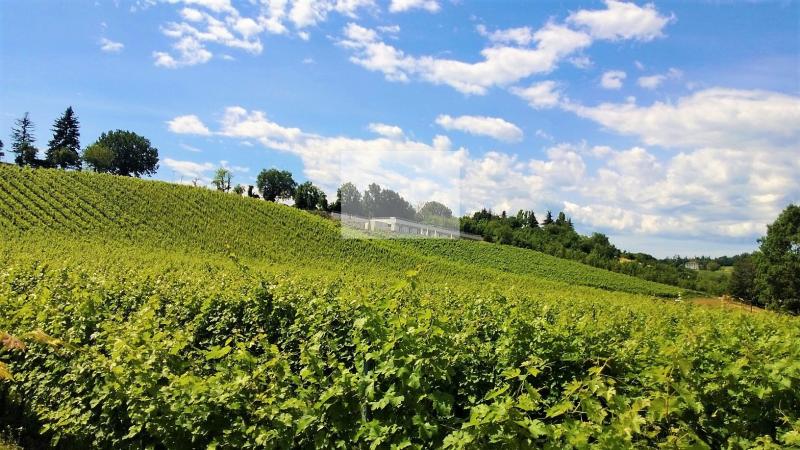 Azienda Agricola Palazzo