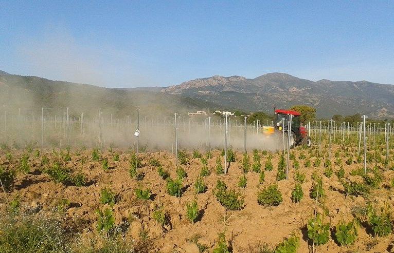 Azienda Agricola Pusole