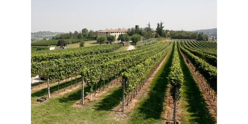 Azienda Agricola Ricchi