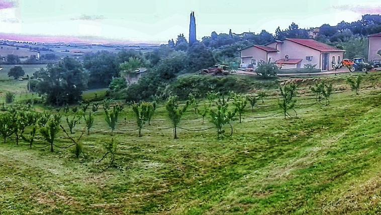 Azienda Agricola Rinaldi Marta