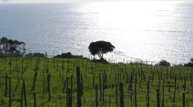 Azienda Agricola San Giovanni