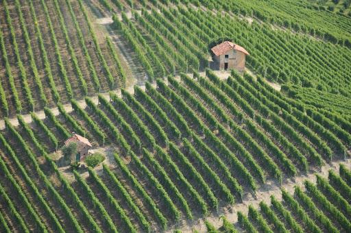 Azienda Agricola Sara Vezza