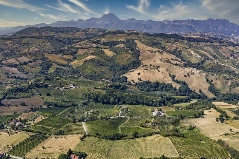 Azienda Agricola Zaccagnini