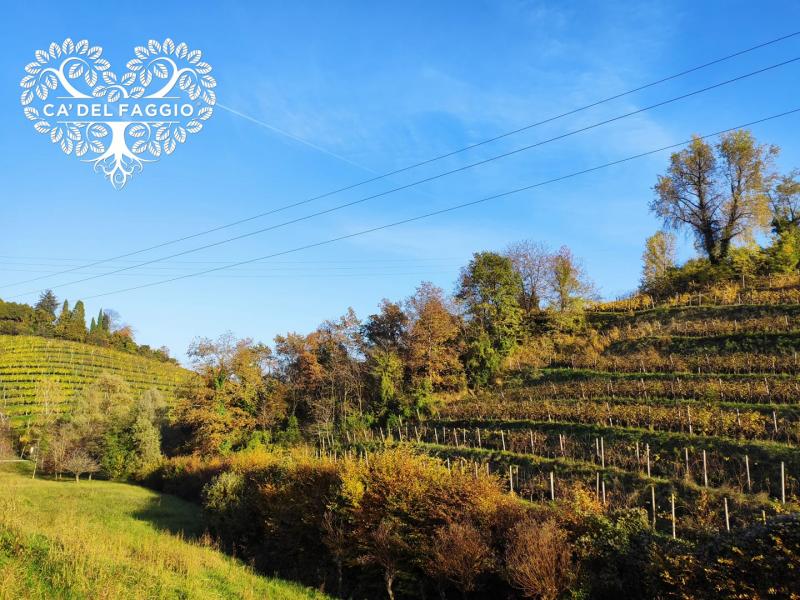 Cà del Faggio