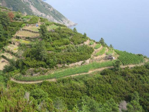 Campogrande