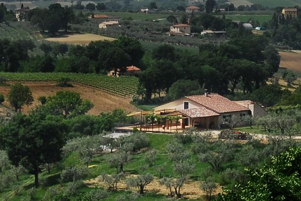 Cantina Colle Ciocco