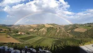 Cantine D'Angelo