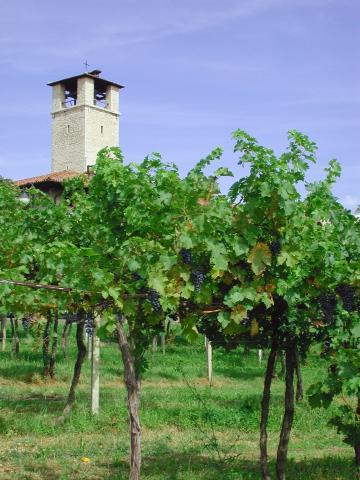 Cantina Dei Feudi