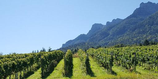 Cantina Furlani