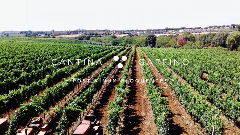 Cantina Gaffino