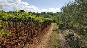 Cantina Giara