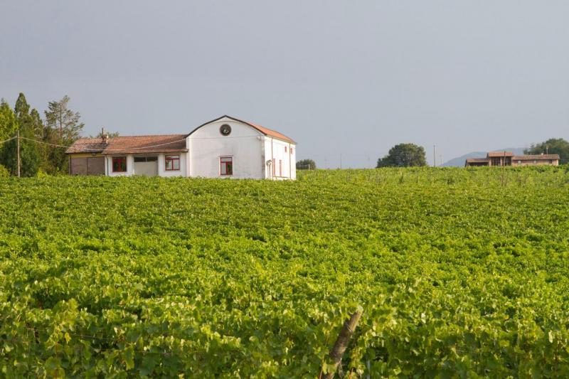 Cantina Manzini