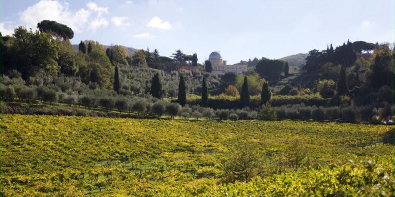 Cantina Ribelà