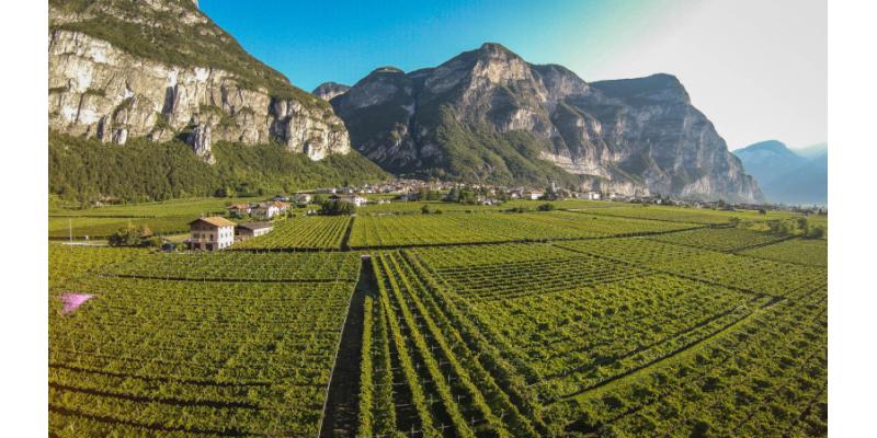 Cantina Roverè della Luna