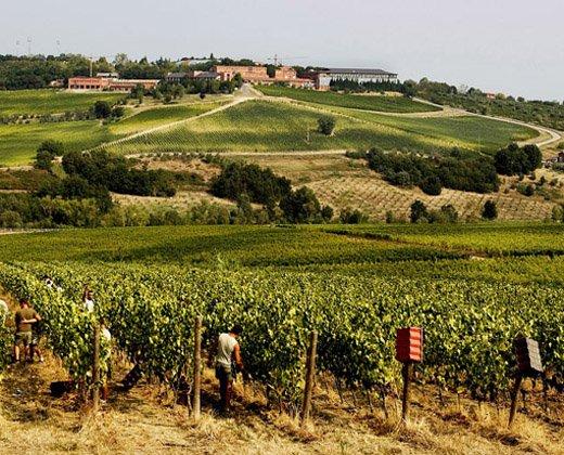 Cantina San Patrignano