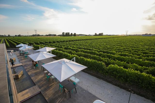 Cantina VentiVenti