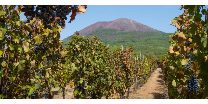 Cantina del Vesuvio