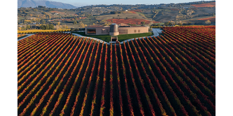 Cantine Briziarelli