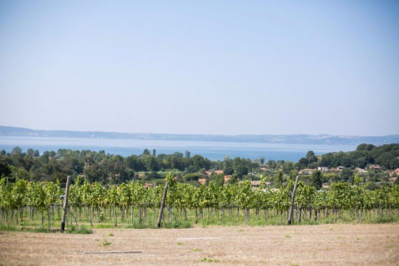 Cantine Capitani