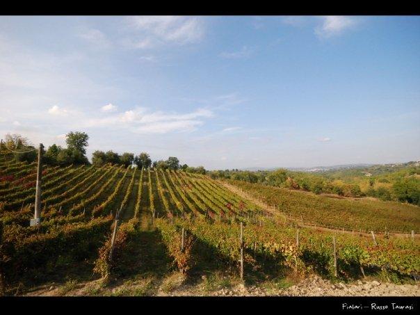 Cantine Russo Taurasi