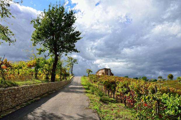 Cantine Russo Taurasi