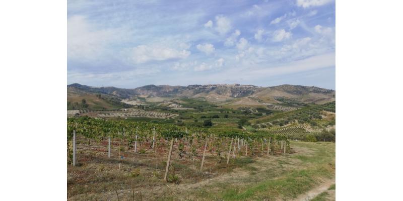 Cantine Vulcano